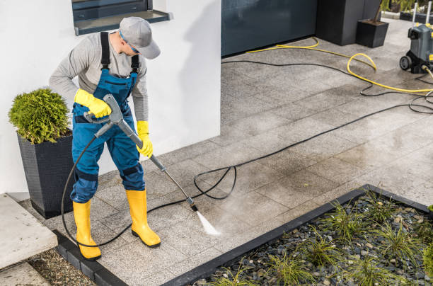 Best Residential Pressure Washing Services  in Edmore, MI