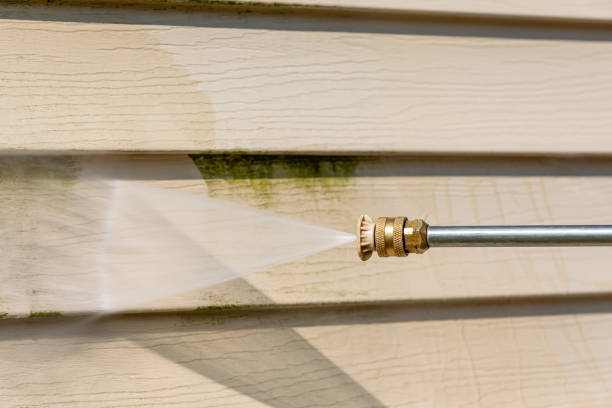 Best Residential Pressure Washing Services  in Edmore, MI