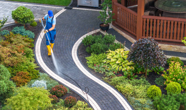 Best Concrete Pressure Washing  in Edmore, MI