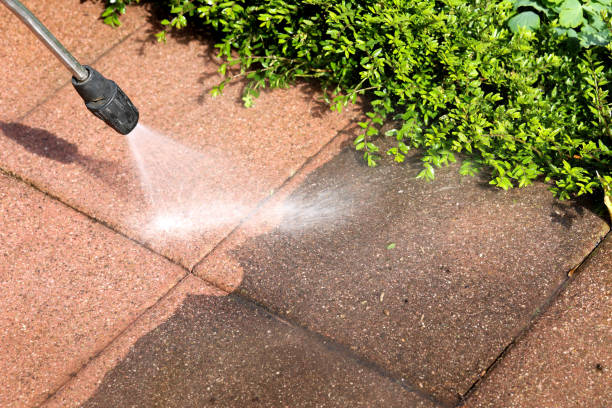 Best Affordable Pressure Washing  in Edmore, MI